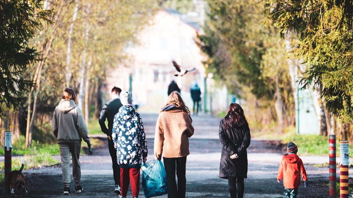 people walking on road during daytime